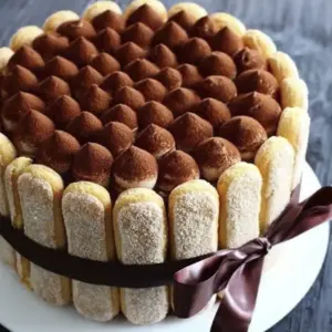 Charlotte Tiramisu