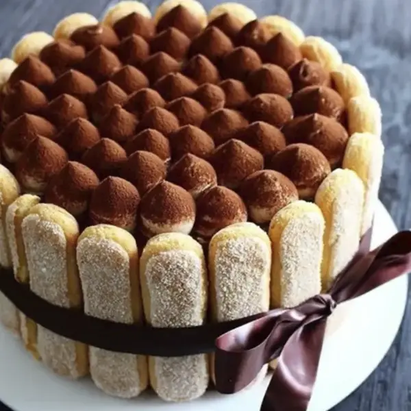 Charlotte Tiramisu